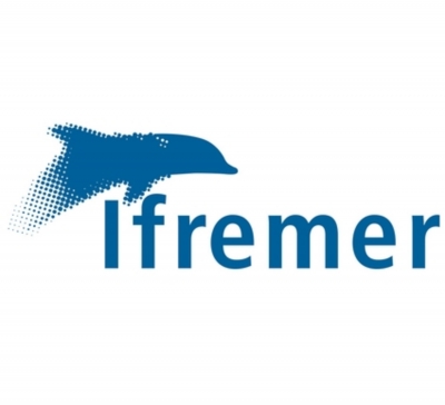 Logo Logo